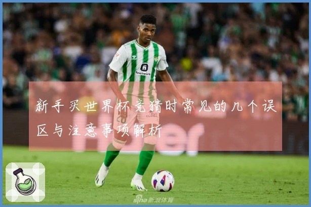 新手买世界杯竞猜时常见的几个误区与注意事项解析