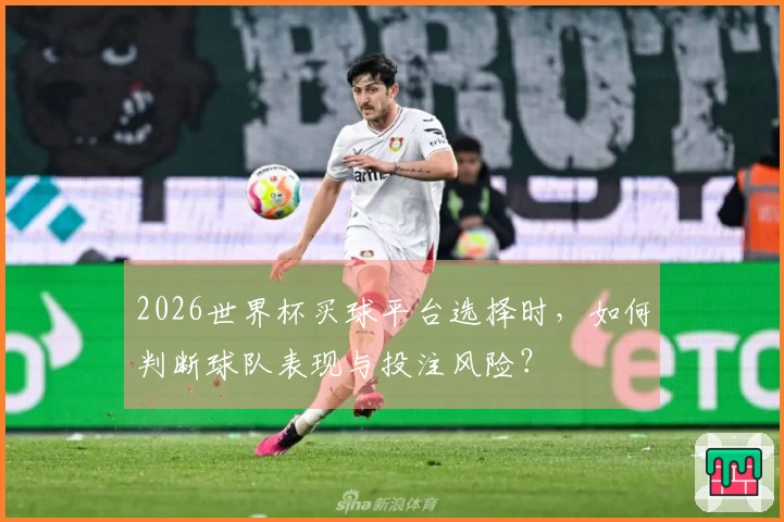 2026世界杯买球平台选择时，如何判断球队表现与投注风险？