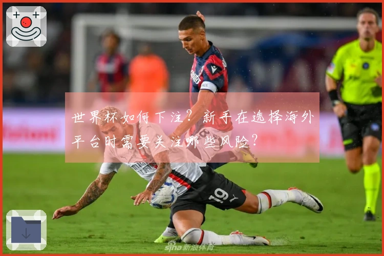世界杯如何下注?新手在选择海外平台时需要关注哪些风险?